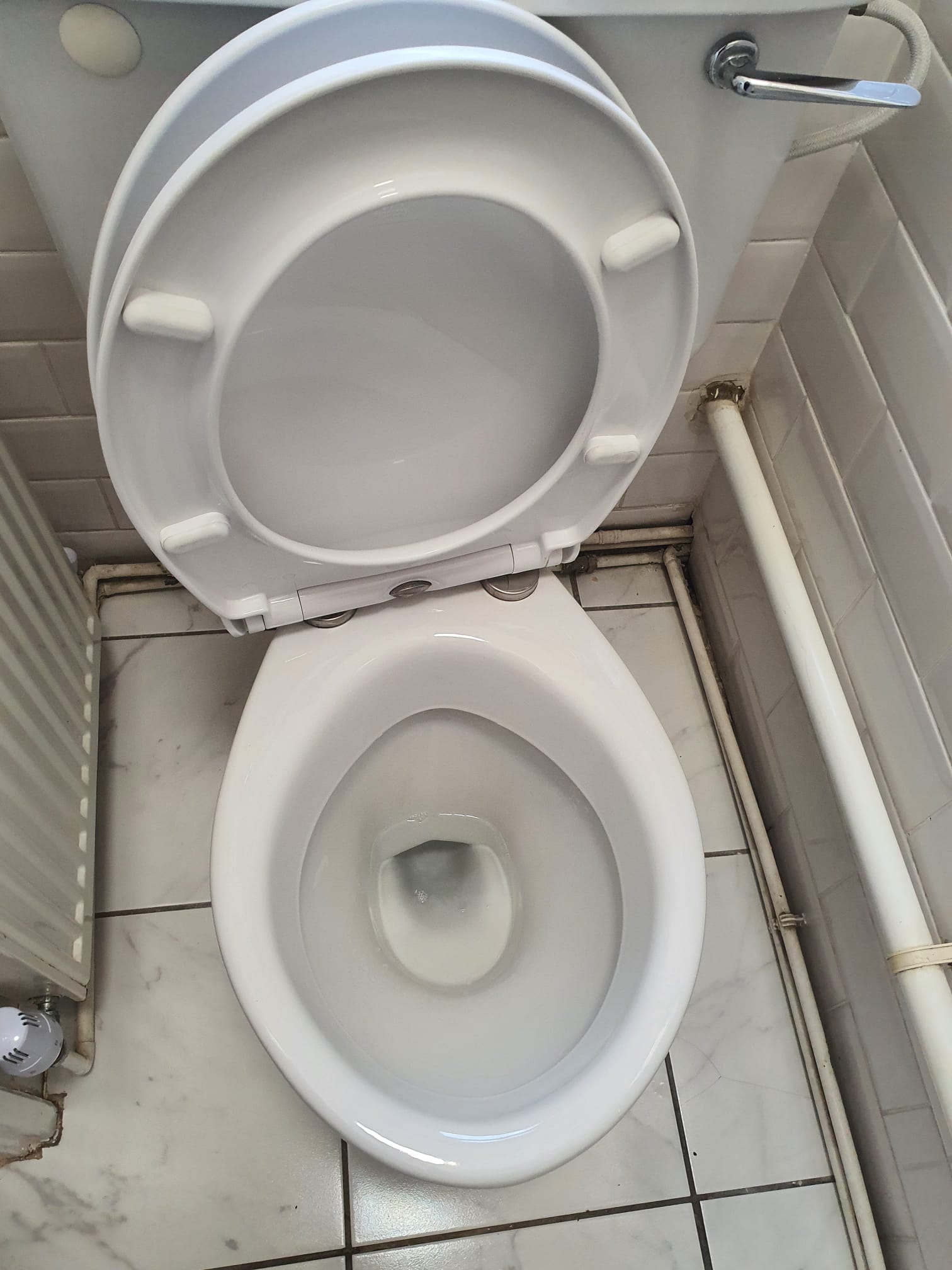 Toilet after cleaning
