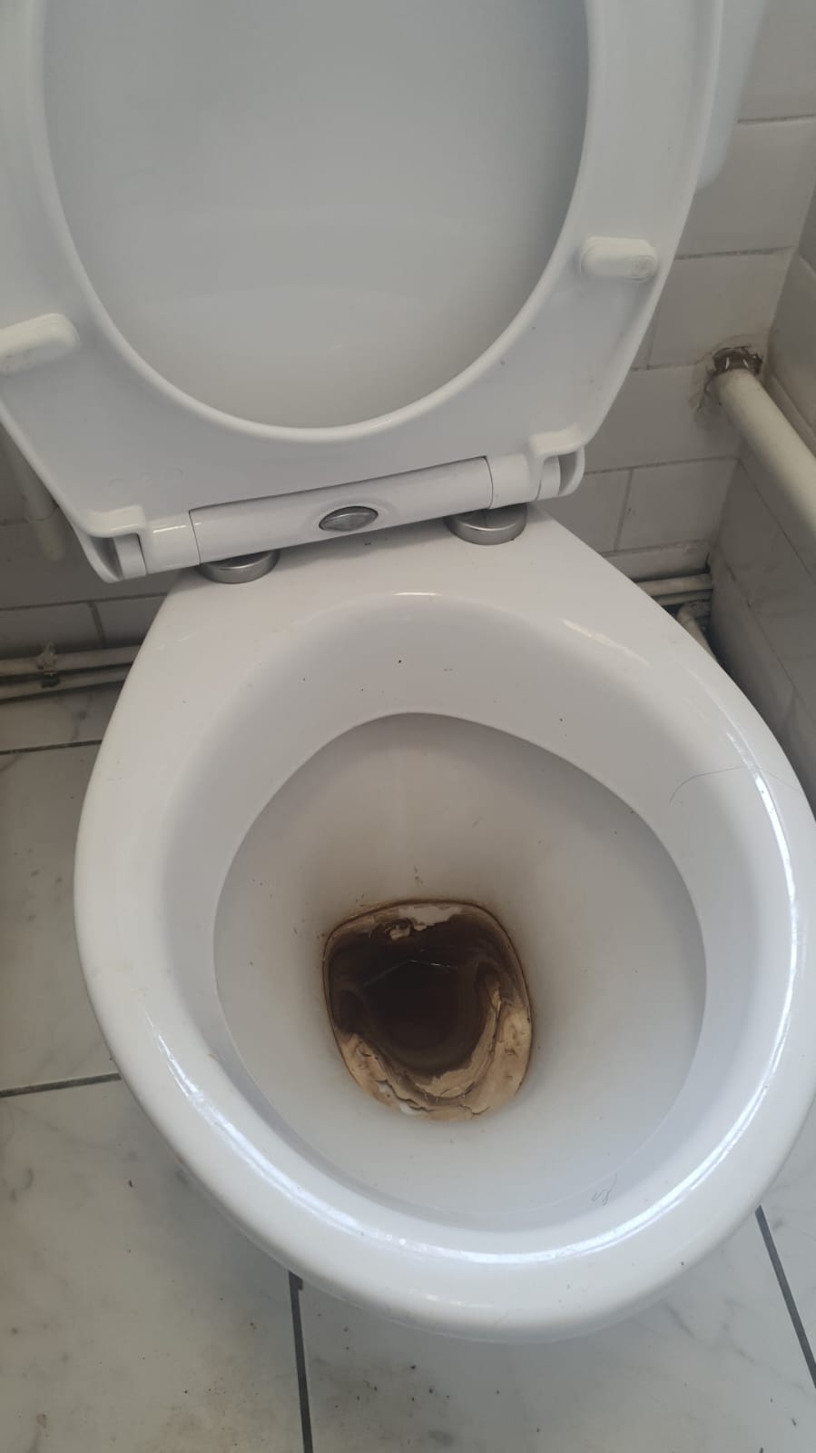 Toilet before cleaning
